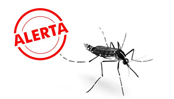 A hotelaria e o combate ao Aedes
